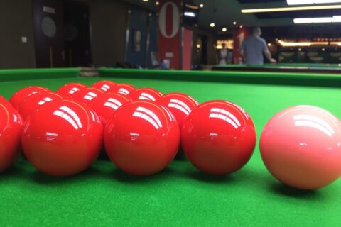 5e0481061543a-480x320.jpg